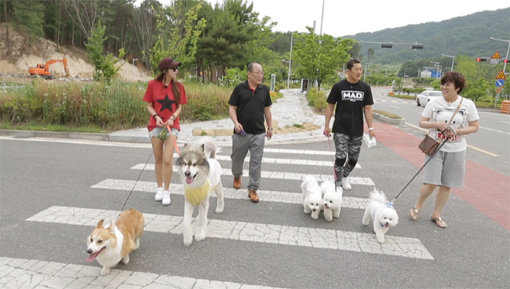 사진제공｜채널A