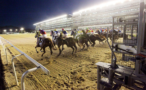 우승의 꿈을 안고 경주마들이 막 출발대를 나서고 있다. 출발대와 출발신호 차량의 파란색 깃발은 레이스 성립의 중요한 요소다. 사진제공｜한국마사회