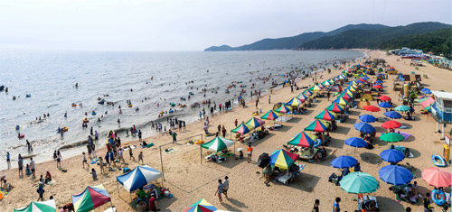 인천관광공사가 휴가 가기 좋은 해수욕장 가운데 한 곳으로 선정한 중구 무의도 하나개해수욕장. 이 해수욕장에는 한 방에 30명까지 잘 수 있는 대형 방갈로와 야영장이 있어 가족이나 단체가 숙박할 수 있다. 인천관광공사 제공