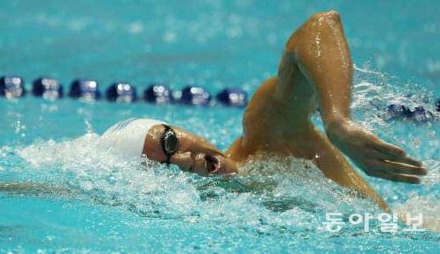 박태환 국가대표 자격 인정. 동아일보DB