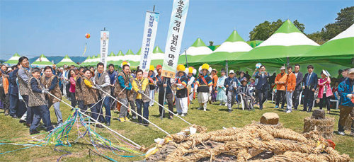 전남 화순군 도곡면 효산리 고인돌 유적지에 열린 ‘2016 화순고인돌문화축제’ 참가자들이 고인돌을 끌고 있다. 화순군 제공