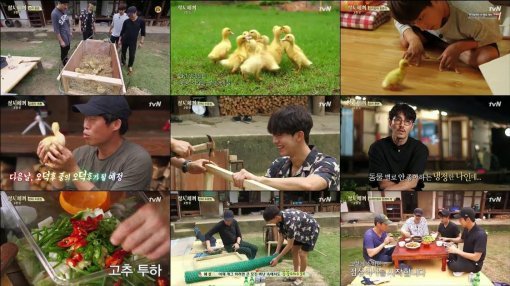 tvN ‘삼시세끼 고창편’