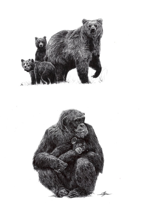 펜화 ‘곰’ ‘침팬지’ 등 주로 동물을 실물처럼 묘사한 그림이 많다.
