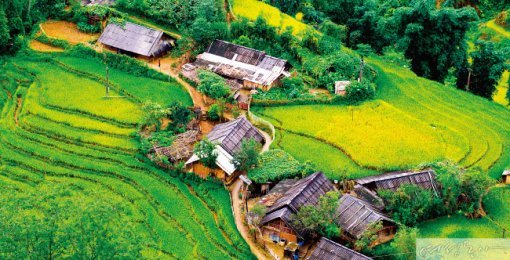 VIETNAM SAPA TREKKING｜동아일보