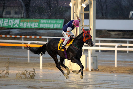 위너스글로리