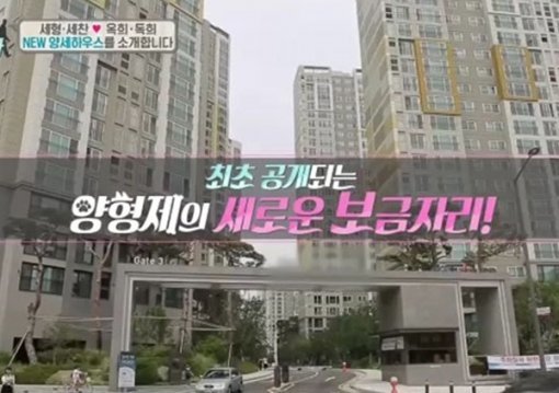 (사진 = 채널A 개밥 주는 남자)