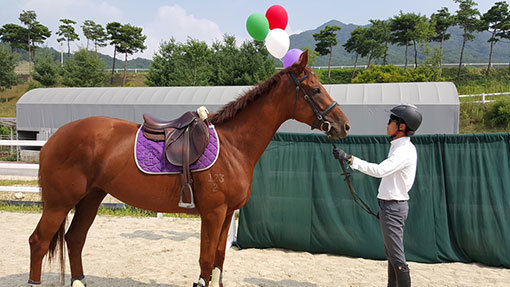 경주퇴역 승용마 평가대회의 평가항목 가운데 하나인 말의 침착성 테스트를 위해 풍선날리기를 하고 있다. 사진제공 ｜ 한국마사회