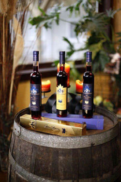 사진=캐나다 베리스