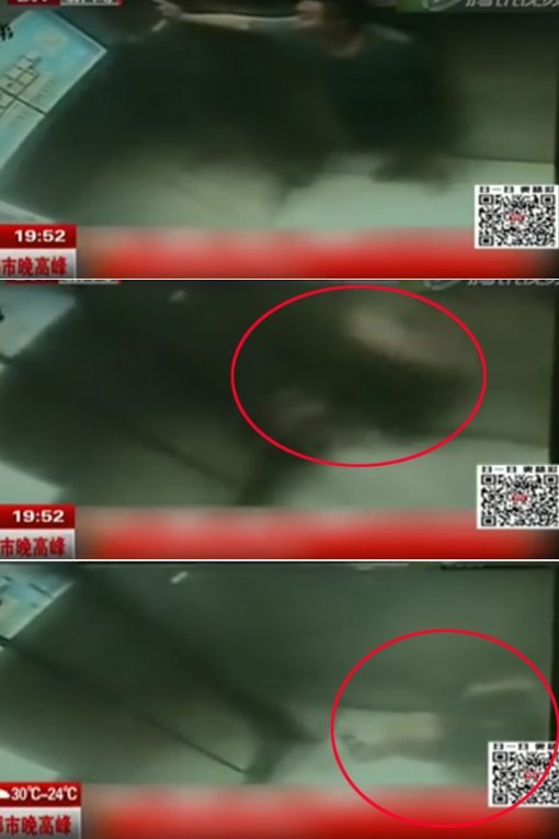 사진=NTDTV 방송화면 캡처