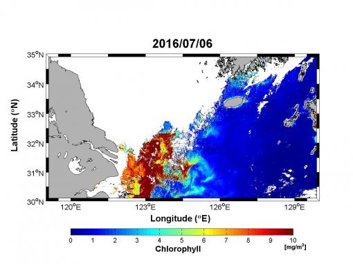 7월 6일 저염분수 영상