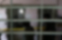 사진=동아일보 DB(사진은 기사와 무관함)