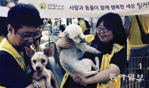 유기견을 입양시키는 비영리 민간단체 ‘팅커벨 프로젝트’ 회원들이 27일 서울 마포구 월드컵공원에서 강아지를 안아주며 다독이고 
있다. 이들은 “강아지를 사지 말고 입양해 달라”고 말한다. 노지현 기자 isityou@donga.com