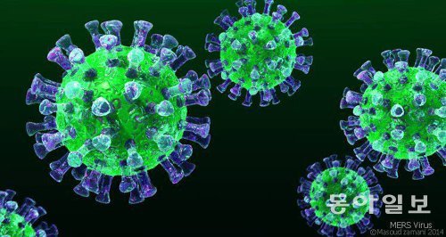 면역력에 대한 관심을 높였던 메르스 바이러스의 현미경 사진. 천연식품이 면역력을 높인다는 일부의 주장에는 과학적 근거가 부족하다. 동아일보DB