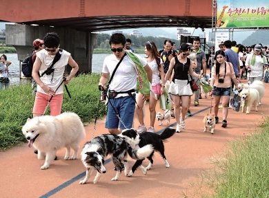 반려동물 걷기대회.