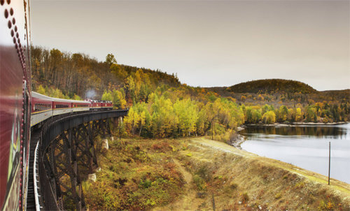 캐나다의 수세인트마리에서는 매년 9월 말∼10월 중순 1년 중 단 3주 동안만 단풍열차가 운행된다. 이 열차를 타면 3시간 반 정도 차창 밖으로 펼쳐지는 단풍의 장관을 감상할 수 있다. 참좋은여행 제공