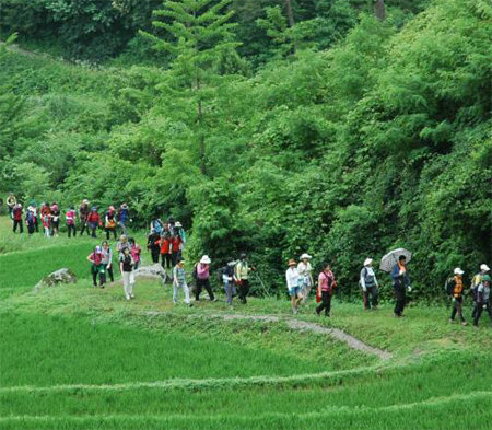 강릉시의 신사임당길은 신사임당이 어린 율곡을 데리고 서울로 갈 때 지나던 길이다. 한국관광공사 제공