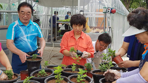 행촌권 성곽마을 도시농업 공동체에 참여하는 주민들이 채소의 모종을 옮겨 심는 작업을 하고 있다. 서울시 제공
