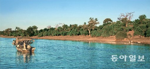아프리카 오버랜드 트러킹 중에 찾은 초베 강. 여기선 이렇듯 크고 작은 보트를 타고 강상에서 물을 마시러 오는 야생동물을 관찰하는 보트사파리를 즐기는데 운좋게도 이날은 사자 무리(오른쪽)를 만났다.
