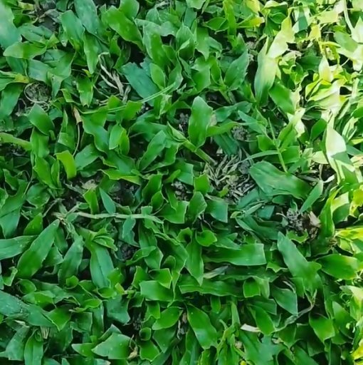 사진=이천수 인스타그램