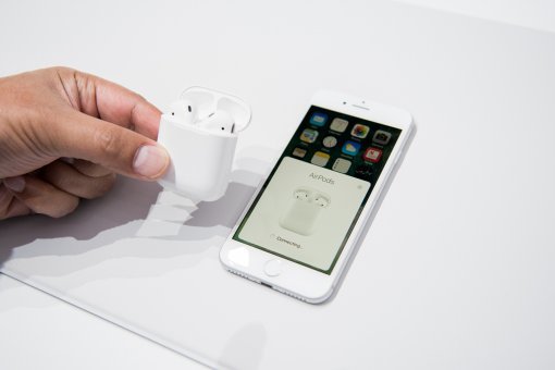 (출처=동아닷컴)