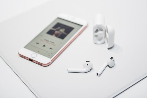 (출처=동아닷컴)