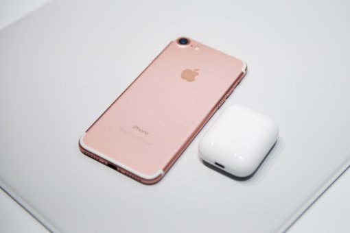 (출처=동아닷컴)