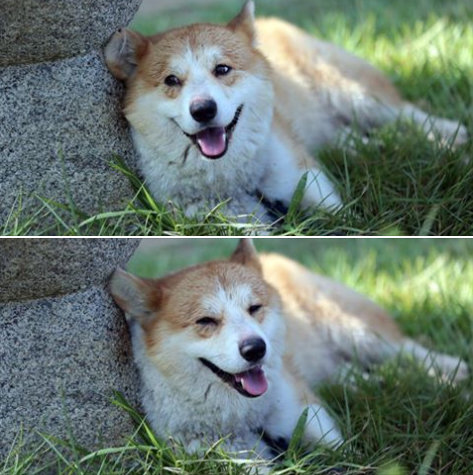 사진=‘삼시세끼 고창편’ 페이스북