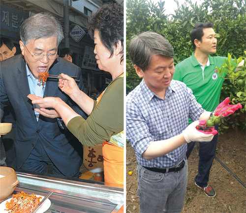 광주서 홍어 먹고… 제주 감귤농장 가고… 더불어민주당 문재인 전 대표(왼쪽 사진 왼쪽)가 11일 광주 
북구 말바우시장을 방문해 한 상인이 건네준 홍어무침을 먹고 있다. 이날 제주도를 방문한 국민의당 안철수 전 상임공동대표(오른쪽 
사진 왼쪽)는 제주시 감귤관광농원에서 감귤 솎기 체험을 하고 있다. 광주=뉴스1·제주=황형준 기자 constant25@donga.com