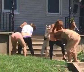 사진=유튜브 캡처