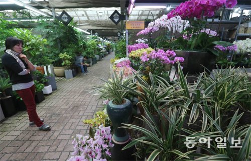 썰렁한 꽃시장 28일 서울 서초구 강남대로 aT센터 꽃 시장에는 손님들의 발길이 크게 줄었다. 이 시장의 상인들은 “주문 전화가 뚝 끊겨 어떻게 해야 할지 막막하다”며 한숨을 내쉬었다. 변영욱 기자 cut@donga.com