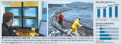 미래 이끌 스마트 양식업… ICT강국 한국에 ‘기회의 바다’