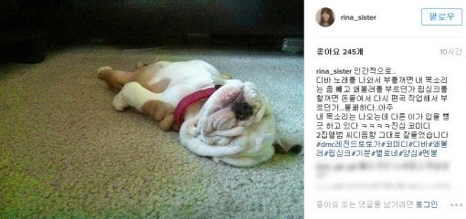 사진=채리나 인스타그램