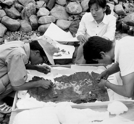 1973년 천마총 발굴팀이 천마도가 그려진 말다래를 현장에서 수습하고 있다. 국립경주문화재연구소 제공