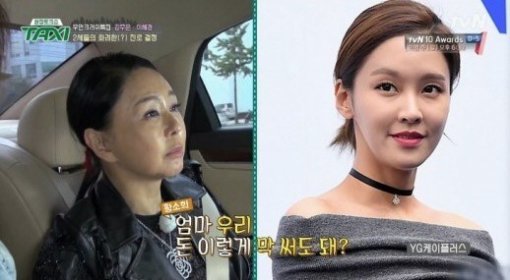 이혜경 대표가 출연한 ‘택시’ 방송화면. 사진=tvN 방송화면 캡처