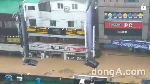 사진=독자 제공