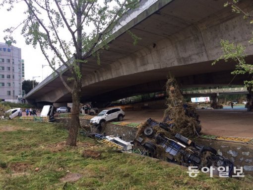 태풍 ‘차바’로 물에 떠내려온 차량들이 울산 태화강 신삼호교 아래 하천에 쳐박혀 뒤엉켜 있다. 견인차가 부족하거나 차주와의 연락이 닿지 않아 5일째인 9일까지 방치돼 있었다. 사진 울산=정재락 기자 raks@donga.com