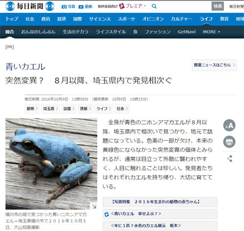 사진=일본 마이니치신문 사이트 캡처