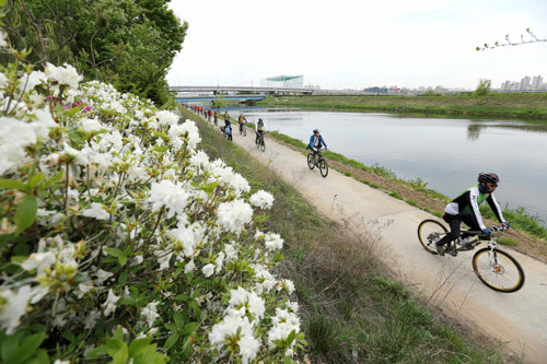 경기 부천시가 2018년까지 녹색도시로 탈바꿈하기 위해 다양한 사업을 진행한다. 5개 하천을 연결하는 ‘100리 녹색 수변길’에서 시민들이 자전거 타기를 즐기고 있다.