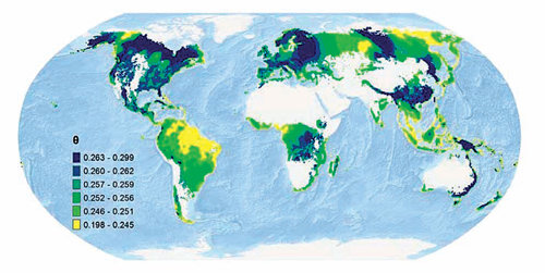 미국 웨스트버지니아대 량징징 교수팀은 숲의 생물다양성과 산림생산성의 관계를 밝혀 지도로 만들었다. 노란색에서 파란색으로 갈수록 그 지역의 산림생산성은 생물다양성의 변화에 민감하게 반응한다. 사이언스 제공