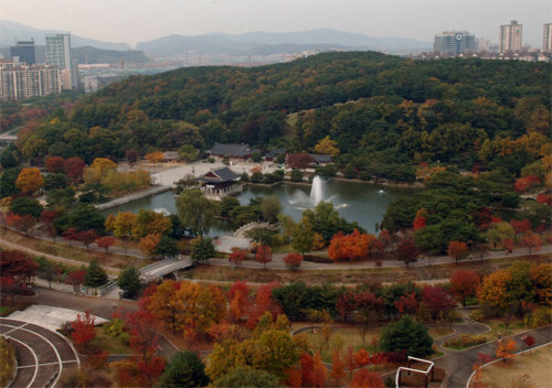 가을을 맞아 경기 성남시 성남대로 분당중앙공원 전역에 단풍이 붉게 물들었다. 성남시 제공
