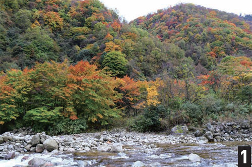 1번 다구빙산의 단풍 풍경