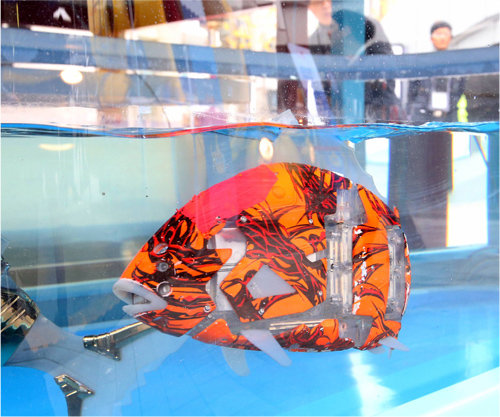 부산외국어대 산학협력단이 개발한 로봇 물고기가 수조에서 헤엄치고 있다. 이 물고기는 코와 턱 밑의 센서를 이용해 장애물을 피할 수 있다.