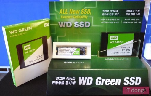 WD 그린 SSD(출처=IT동아)