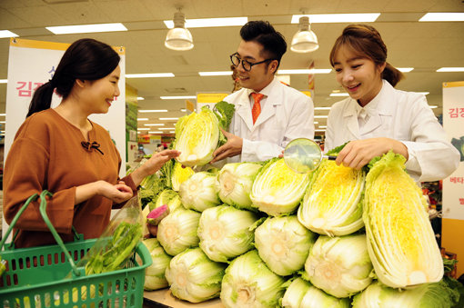 이마트가 서울 용산점에서 선보인 베타후레쉬 배추. 사진제공｜이마트