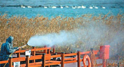 고병원성 조류인플루엔자(AI)가 확산되고 있는 가운데 23일 전남 강진군 생태공원 덱(deck)에서 방역 담당 공무원들이 AI 차단 방역 작업을 벌이고 있다. 강진군 제공