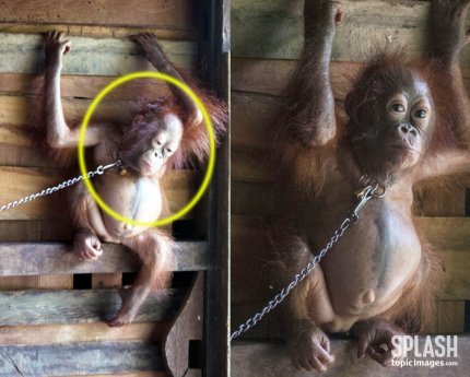 사진제공 -TOPIC / Splash News