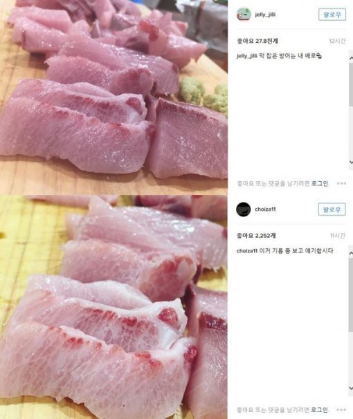 사진=설리, 최자 인스타그램