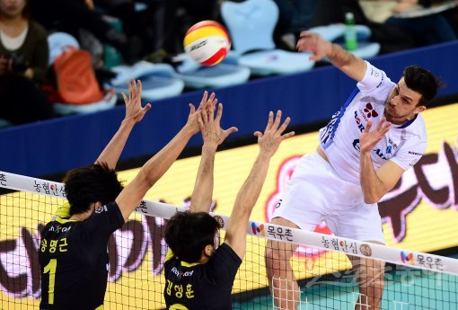 대한항공 가스파리니. 인천 | 김민성 기자 marineboy@donga.com