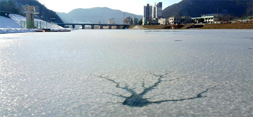 10일 산천어축제가 열린 강원 화천천의 결빙된 모습. 화천천의 첫 얼음은 7일 상류 지역에서 처음 관측돼 지난해보다 열흘가량 빨리 결빙 현상이 나타났다. 화천군 제공