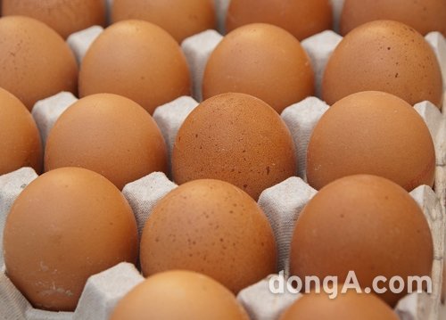고병원성 조류인플루엔자(AI)의 확산으로 인해 대형마트의 계란값이 고공행진을 하고 있다.